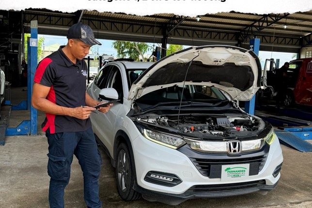 Fernandes Autohandel Zuid: Voor alle merken voertuigen